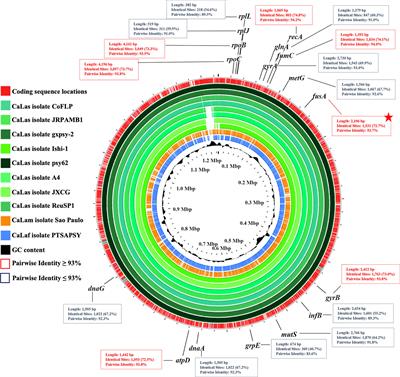 Real-time on-site detection of the three ‘Candidatus Liberibacter’ species associated with HLB disease: a rapid and validated method